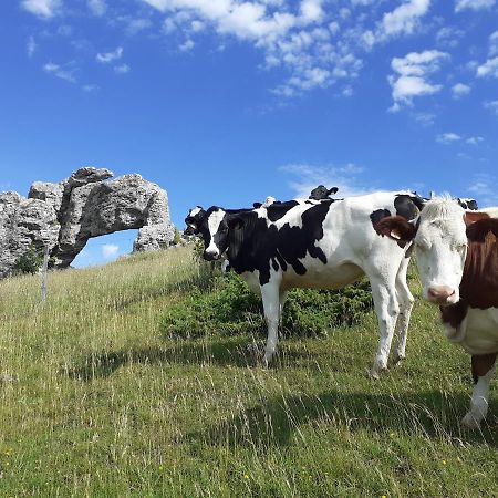 Maison De Campagne A L'Etage Ser-Sigaud Exteriör bild